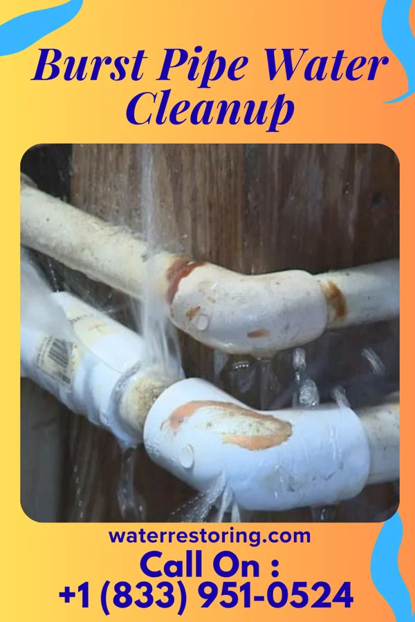 Burst Pipe Water Cleanup in Winchester, TN