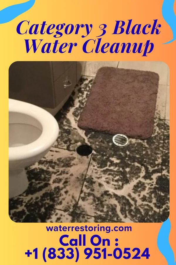 Category 3 Black Water Cleanup in Winchester, TN